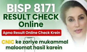 BISP 8171 Result Check Online by CNIC – April 2026 Complete Guide